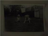110-1007_img