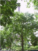 110-1045_img