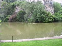 111-1102_img